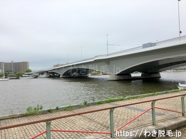 信濃川にかかる橋を北へすすみます